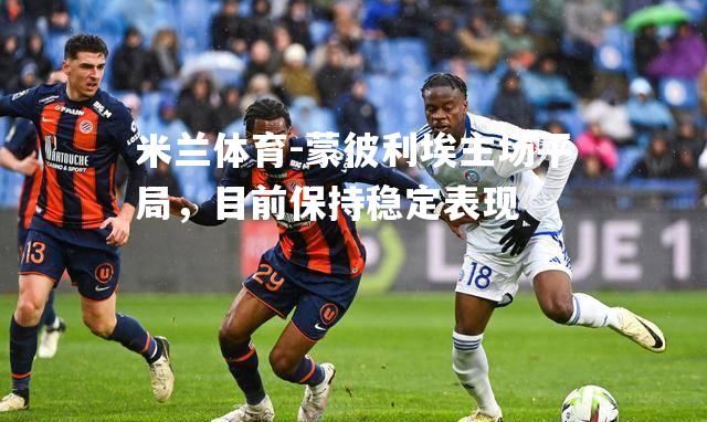 蒙彼利埃主场平局，目前保持稳定表现